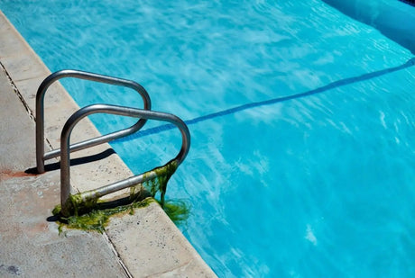 Cómo eliminar algas pegadas en la piscina paso a paso