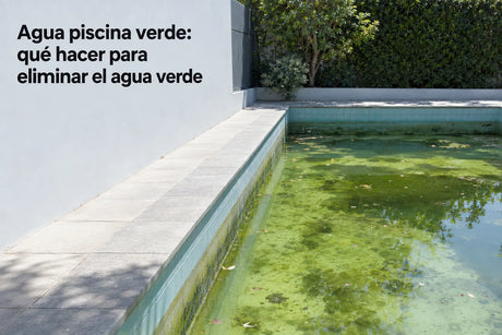 Agua piscina verde: qué hacer para eliminar el agua verde